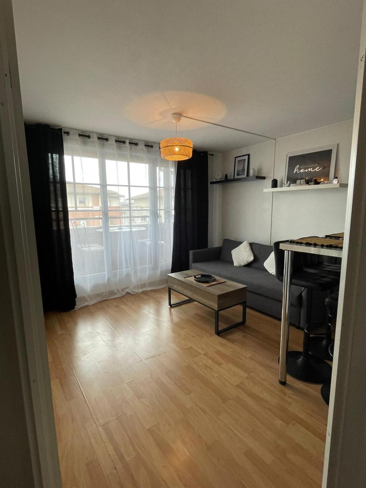 City Rose T2, Climatisation,Parking Prive, Piscine, Wifi , Tout Confort Toulouse Exterior foto